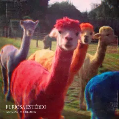 Alpacas de Colores - Single - Furiosa Estéreo Portada del single 'Alpacas de Colores', del EP presentación de la banda de indie rock Furiosa Estéreo.